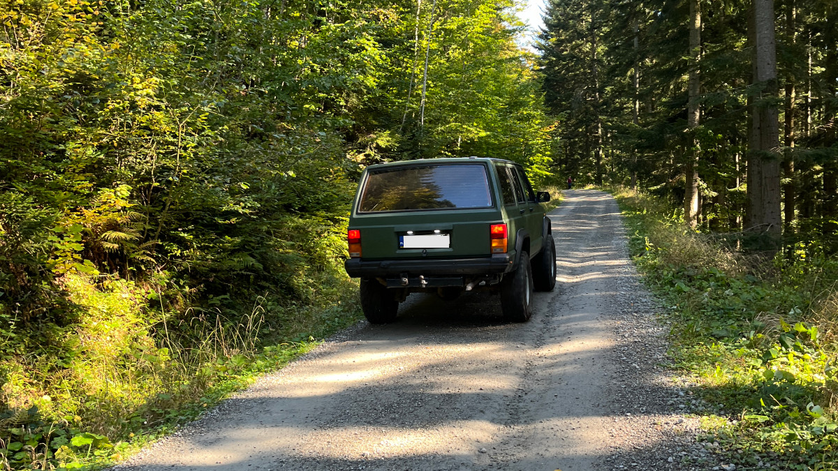 Gałązki na grób lub wjazd do lasu? Rząd zaostrza kary