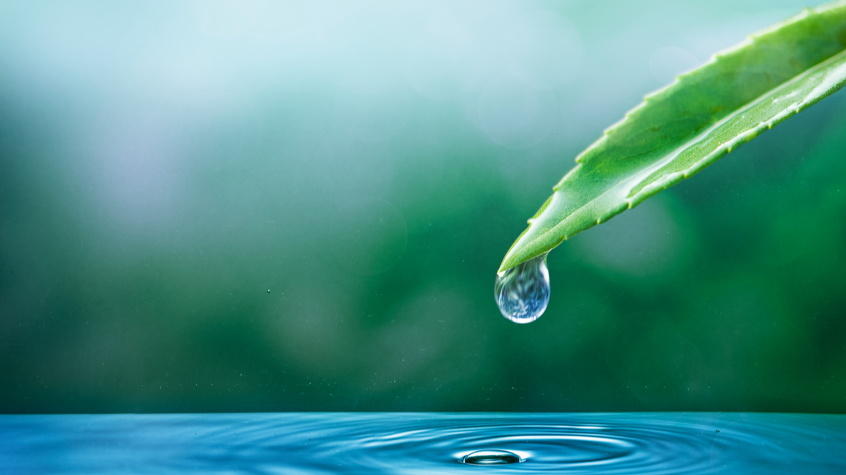 Jedna filiżanka kawy, 140 litrów. To już nie ślad wodny, to tsunami