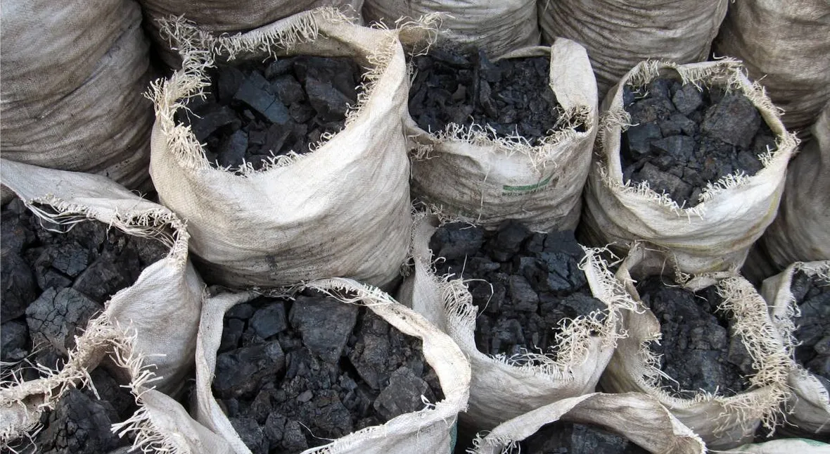 węgiel cena polska groszek