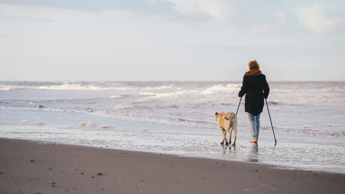 wiek emerytalny kobiet petycja