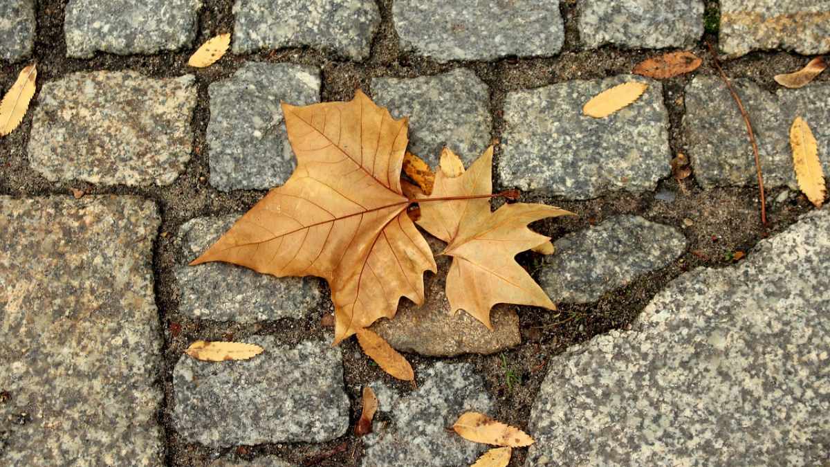 Dzień wolny za 1 listopada. Jedni odpoczną, inni obejdą się smakiem