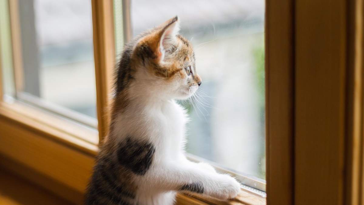 Wymień okna na nowe. choćby 41 tys. zł dofinansowania