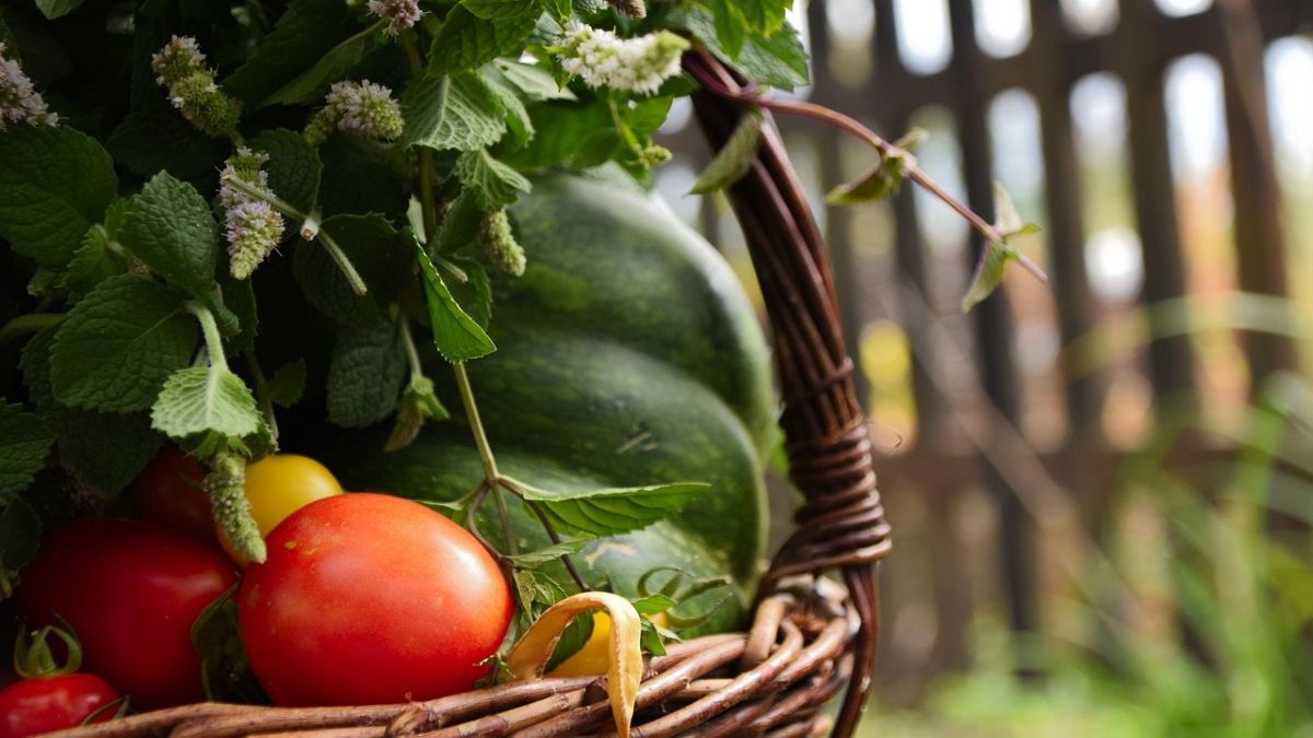 Ogłosiła samozbiory. Myślała, iż nikt nie przyjdzie, kolejka była po horyzont