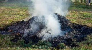 Mój ogródek, moja sprawa? Jak ci wlepią mandat, to zmienisz zdanie