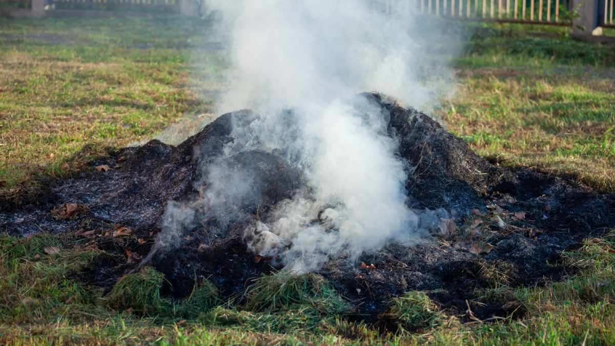Mój ogródek, moja sprawa? Jak ci wlepią mandat, to zmienisz zdanie