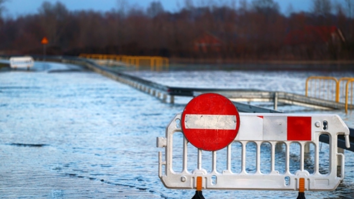 Polityka klimatyczna nie działa. Przyroda w Europie w kiepskiej kondycji
