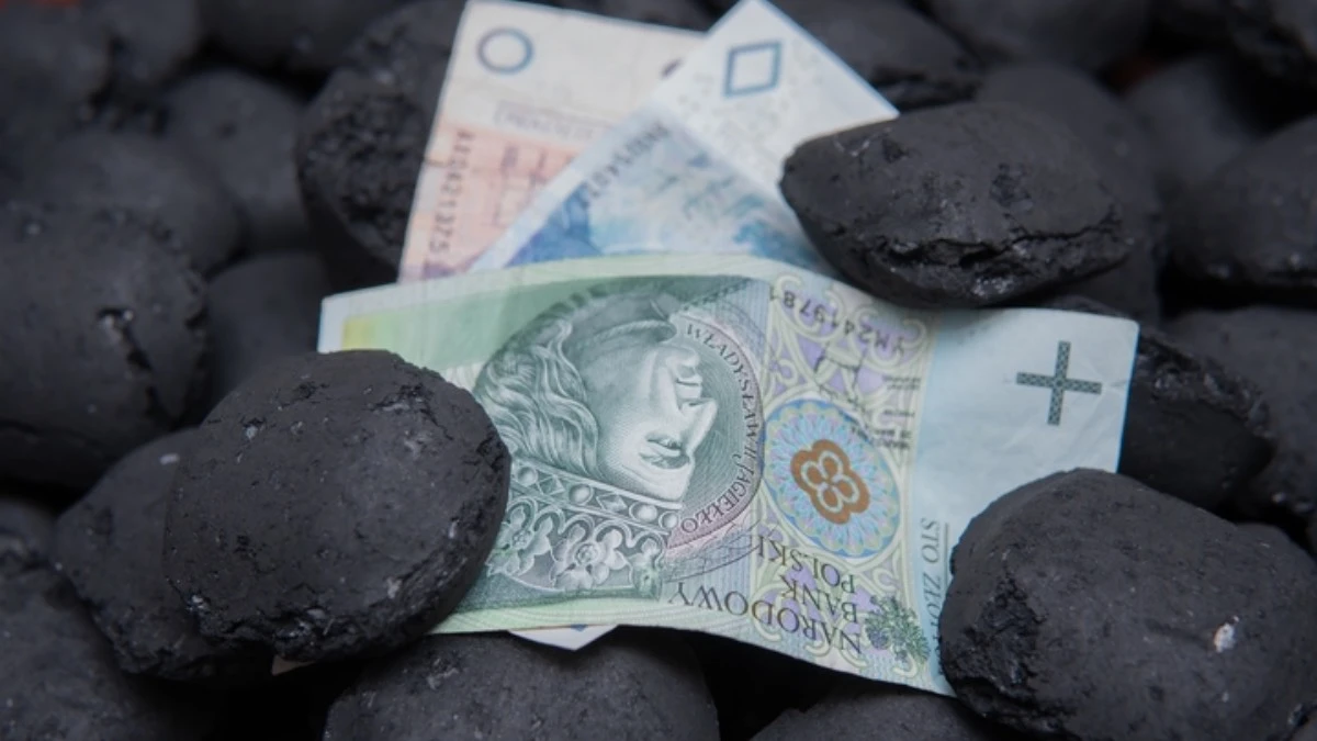 cena-wegla-promocje-z-okazji-black-friday