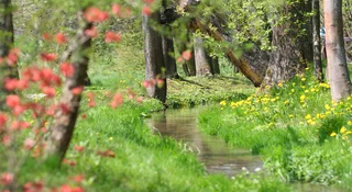 Prawo do zabudowy znika bez ostrzeżenia. Nie liczcie na odszkodowania