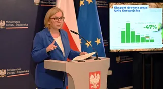 Czyste Powietrze. Minister mówi o sukcesach, eksperci reagują ostro