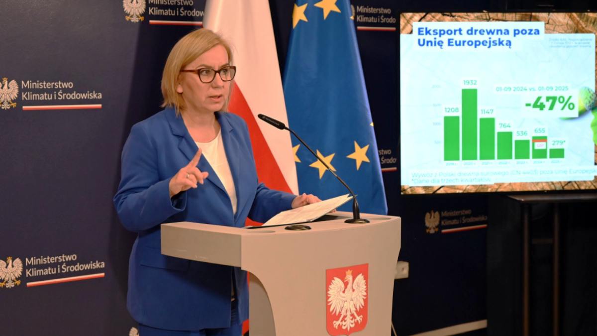 Czyste Powietrze. Minister mówi o sukcesach, eksperci reagują ostro