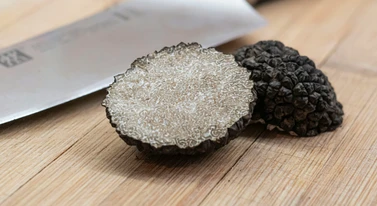 Grzyb za cenę mieszkania. Tak się zarabia na truflach