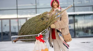 Gdzie najtaniej kupić choinkę? Sprawdziliśmy ceny