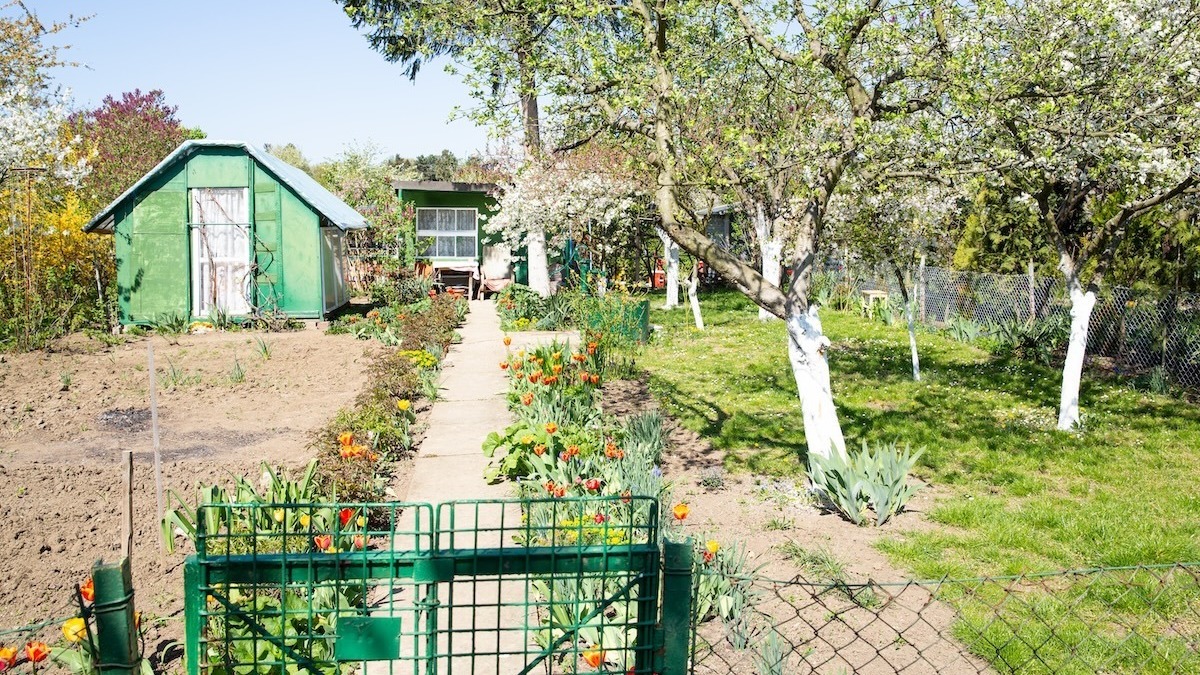 Sprzedaż działki po rodzicach. Jeden błąd i podzielisz się spadkiem z fiskusem