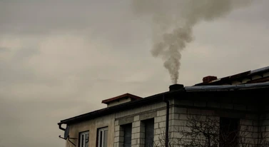 Kopciuchy rozkwitły na wiosnę. Polskie miasto zakałą Europy