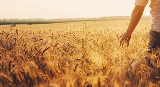 KRUS 2026 bez taryfy ulgowej. Składki rosną, limity zostają – problem gotowy