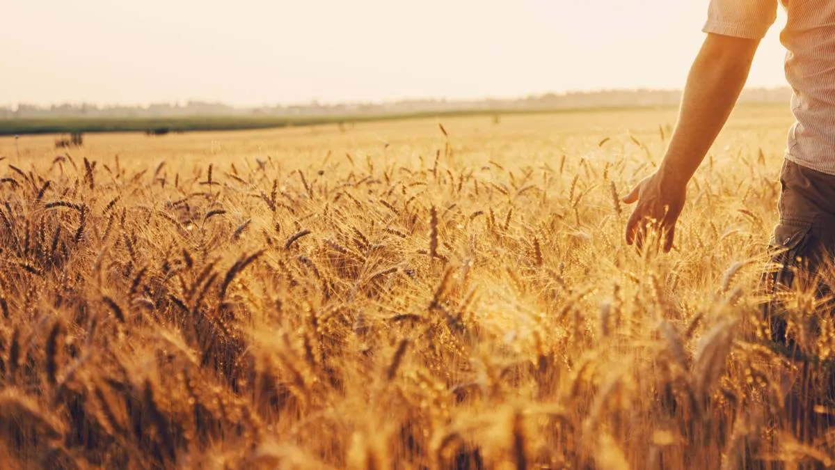 KRUS 2026 bez taryfy ulgowej. Składki rosną, limity zostają – problem gotowy