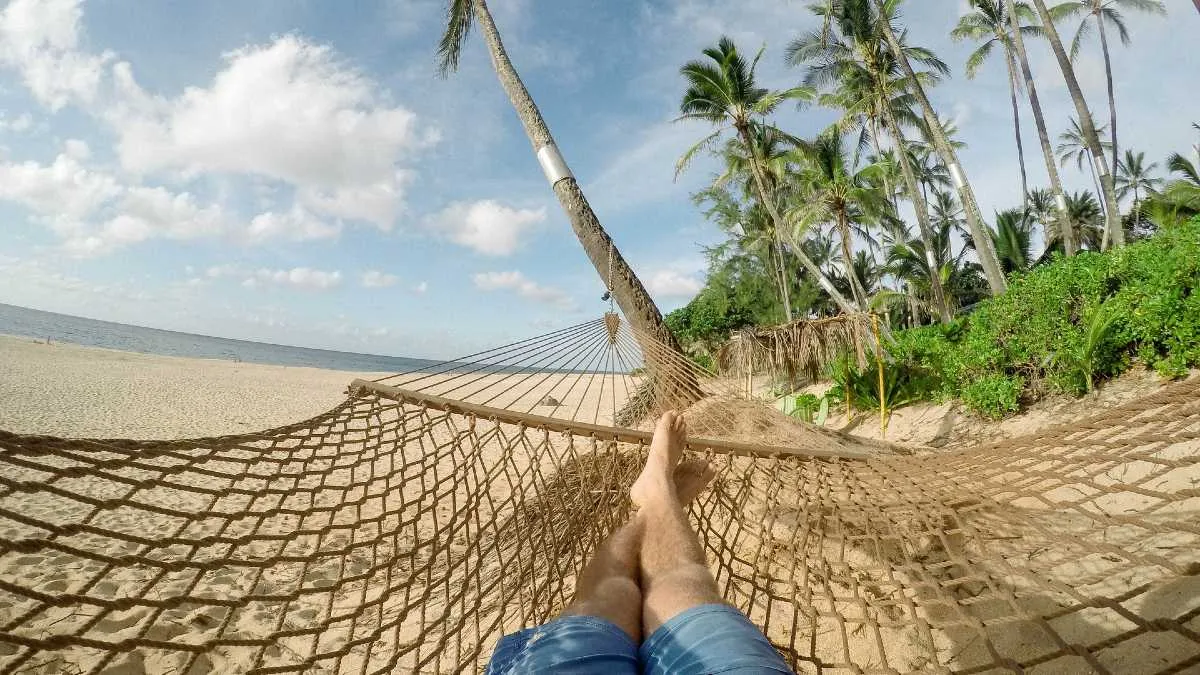 Podatek od pracy zdalnej. Biuro pod palmą może kosztować krocie