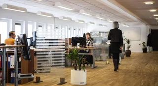 PIP nakaże etat zamiast B2B. Co to oznacza dla firm?