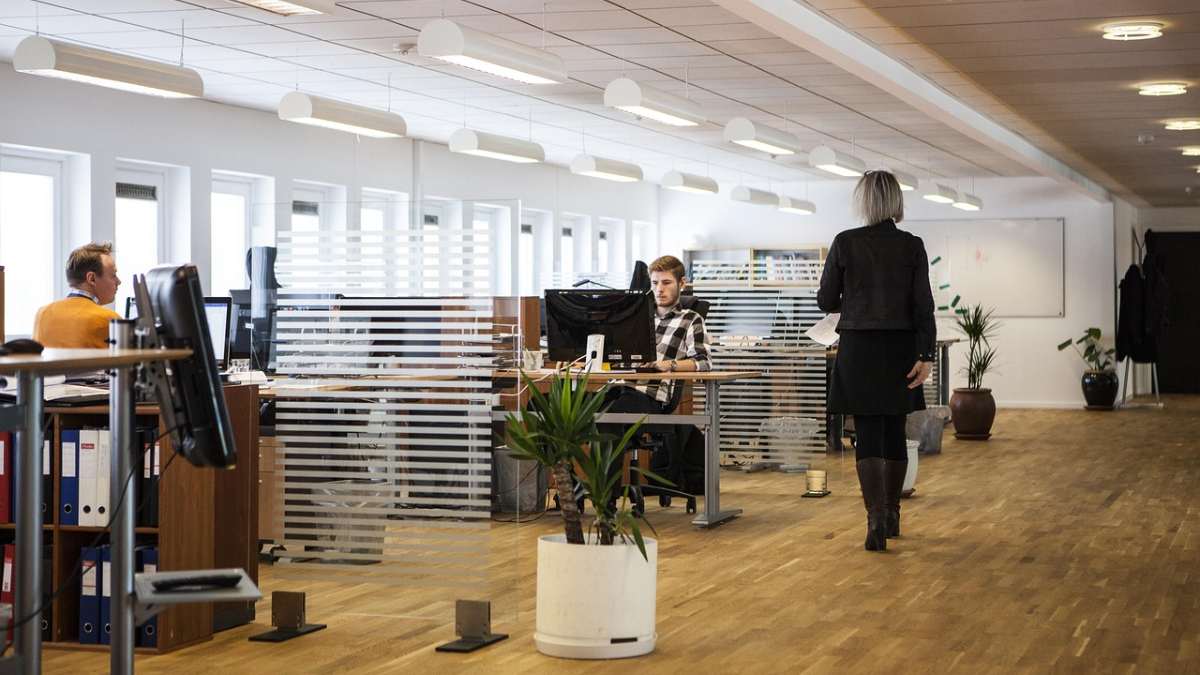 PIP nakaże etat zamiast B2B. Co to oznacza dla firm?