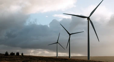 Przestało wiać? Niespodzianka: Polacy wcale nie sięgnęli po węgiel