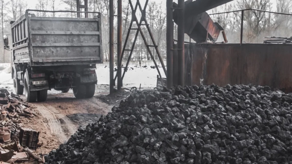 cena-wegla-dostawa-sklep-PGG