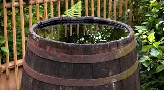 Łap deszczówkę. Państwo dopłaci do zbiorników