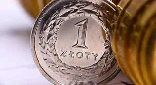 Mocne wejście złotego. Polska waluta jedną z najsilniejszych w regionie