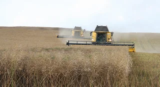 Umowa z Mercosur. Rolnicy panikują, nasz strategiczny sektor się cieszy