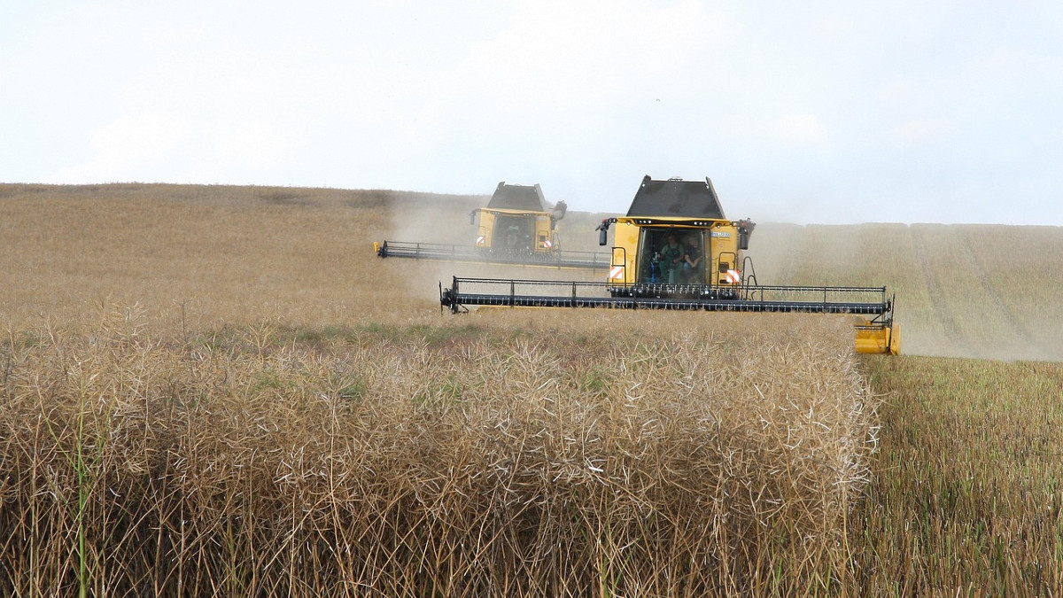 Umowa z Mercosur. Rolnicy panikują, nasz strategiczny sektor się cieszy