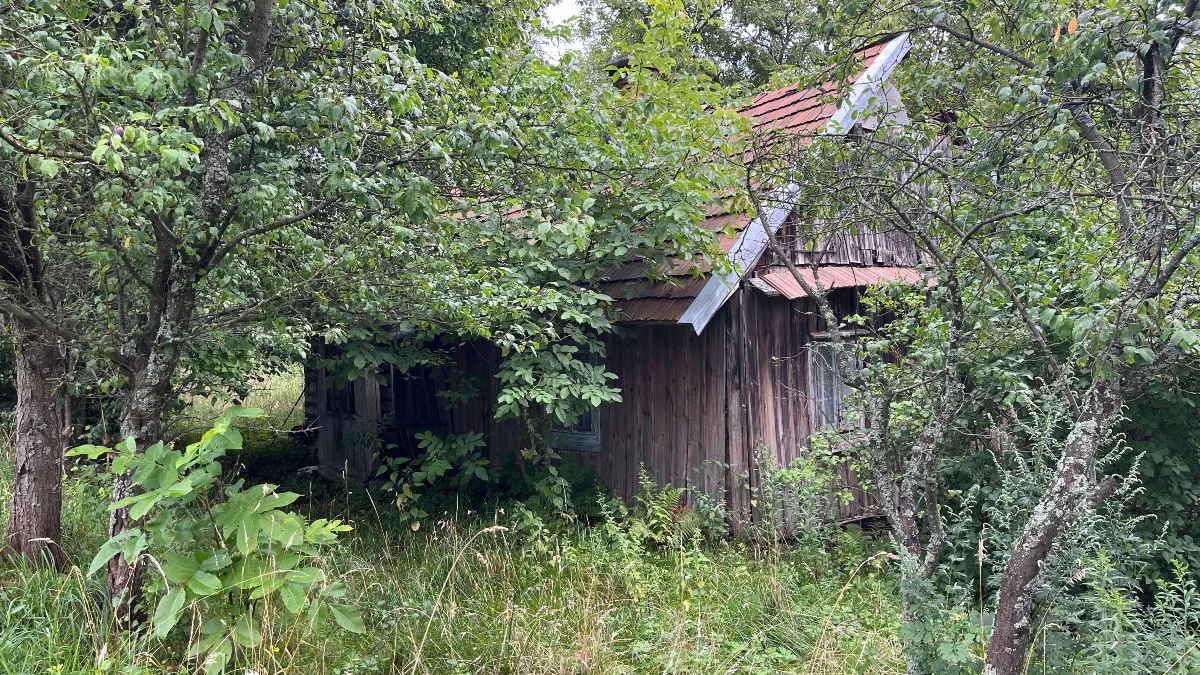 podatek od nieruchomości szopa altanka wiata garaż