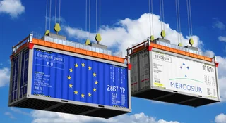 Nie wiesz, o co chodzi z Mercosur? To nie przypadek