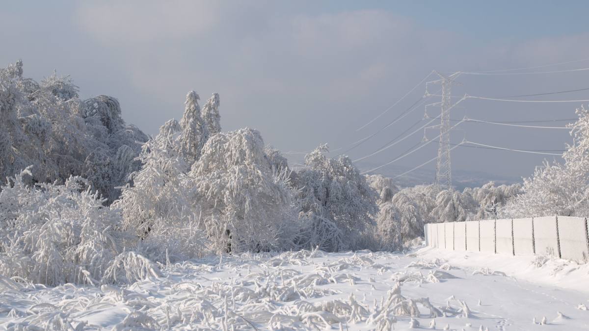 Płacimy za prąd najwięcej w całej UE. Atak zimy zrobił swoje