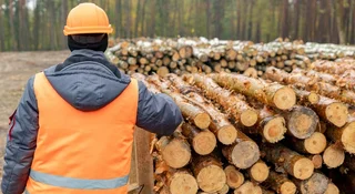 Darmowy opał dla mieszkańców. Góra drewna czeka na wrzucenie do pieca