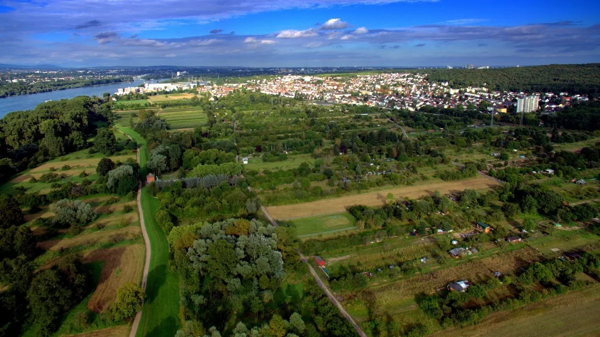 Radni: oddamy parafii za darmo trzy działki. Skarbówka: bez podatku