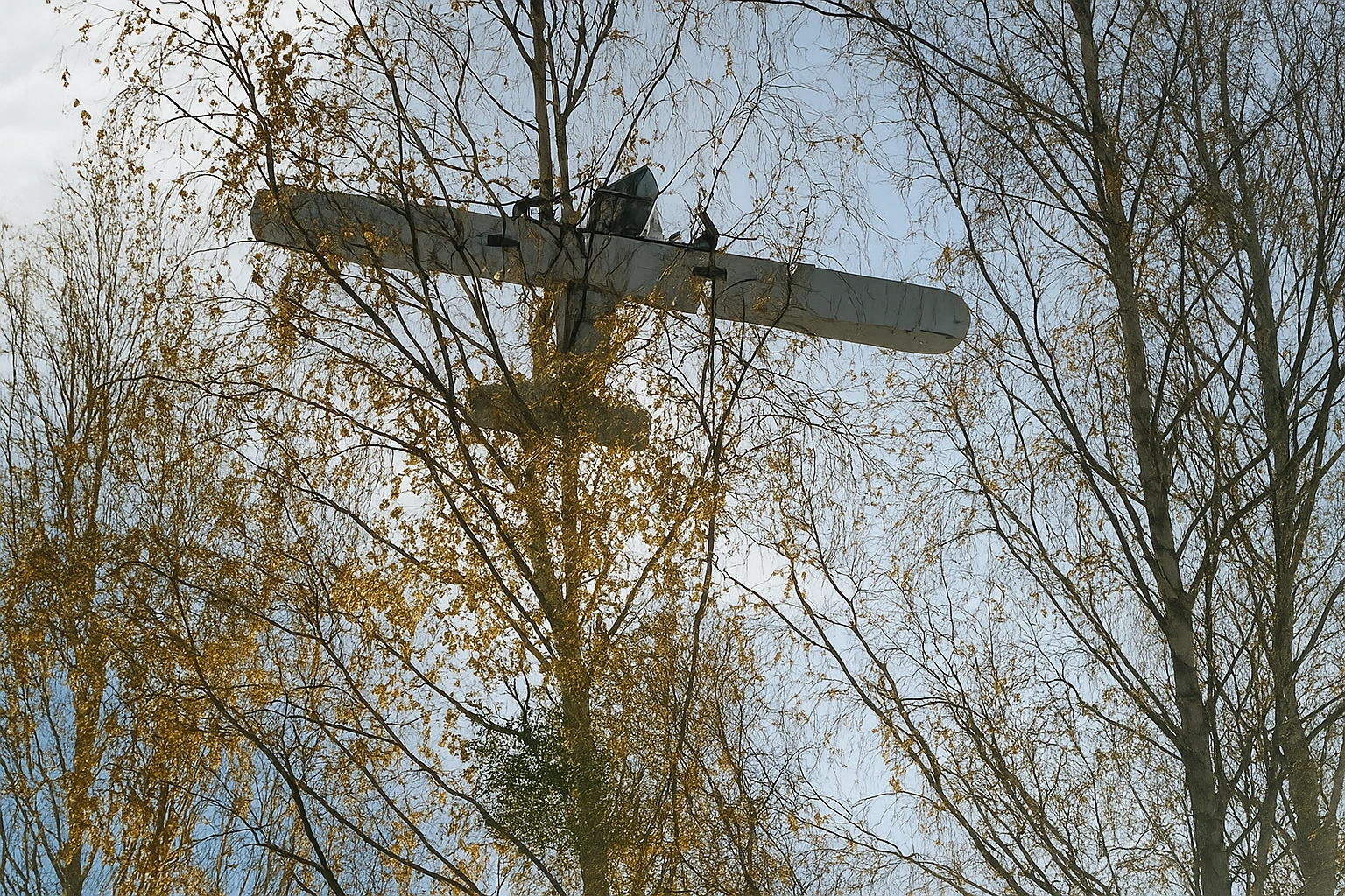 gobins-akcyza-ted-ue