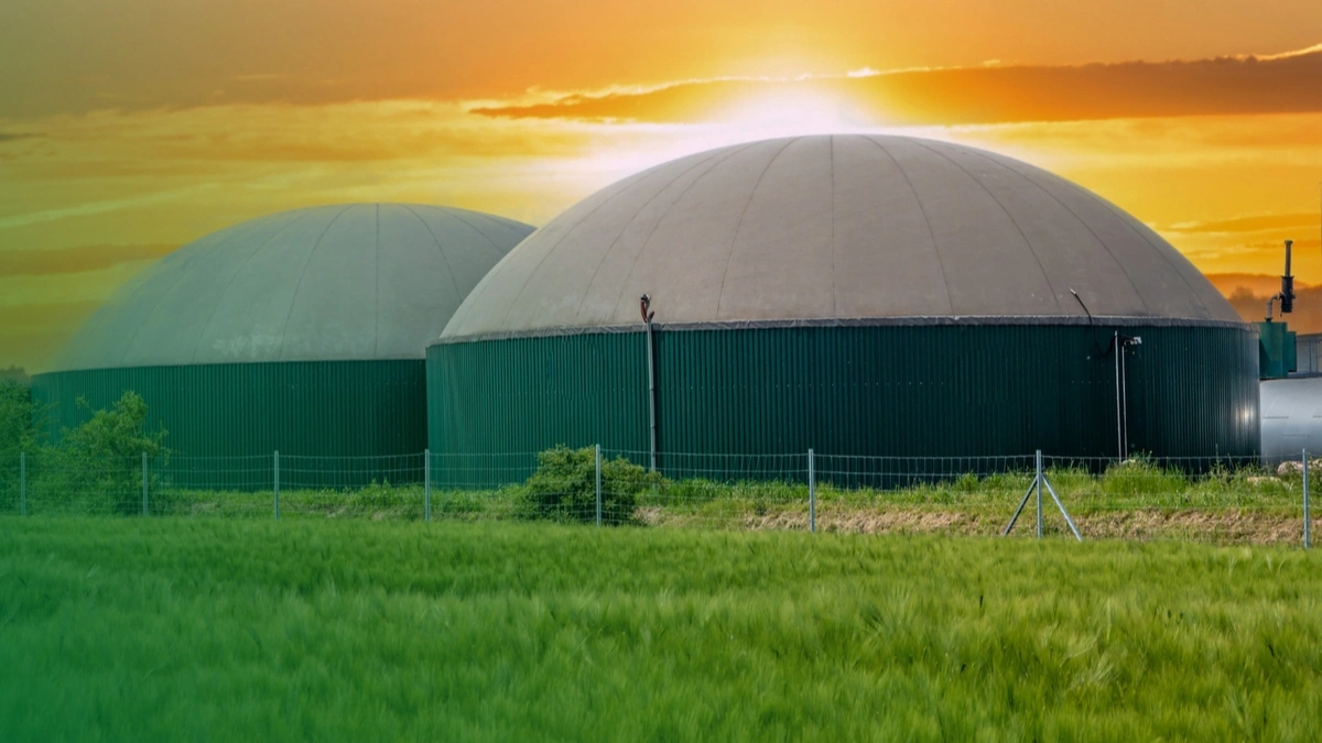 BZK Energy, Biowatt oraz Atlas Ward stworzyli projekt innowacyjnej biometanowni AMBASSADOR.