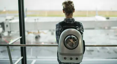 Tysiąc lotów odwołanych. Paliwo lotnicze rekordowo drogie