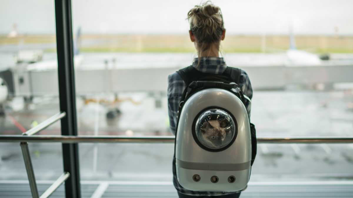 Tysiąc lotów odwołanych. Paliwo lotnicze rekordowo drogie