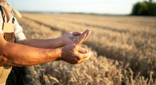 Trzech Polaków, 0 zł na reklamę, 175 tys. chętnych. FoodFarmer tryumfuje