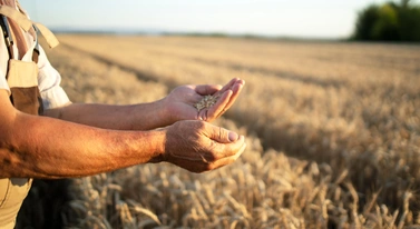 Trzech Polaków, 0 zł na reklamę, 175 tys. chętnych. FoodFarmer tryumfuje