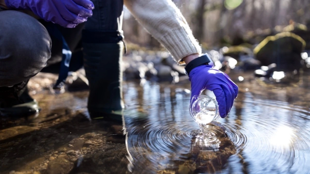 Pestycydy i antybiotyki w rzekach i jeziorach. „Nie można czekać”