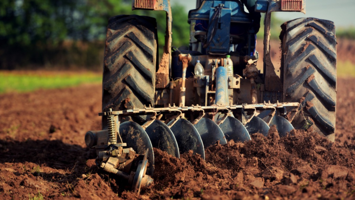Cieśnina Ormuz to nie tylko gaz i ropa. Żywność też znajdzie się pod presją