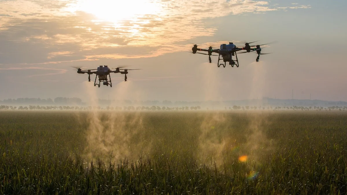 Drony dla rolników. Mają być stosowane masowo