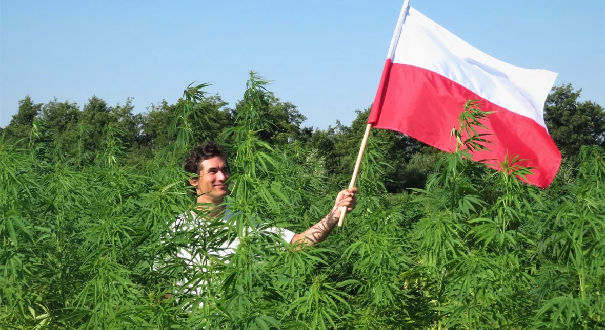 kombinat-konopny-rozmowa-z-maciejem-kowalskim