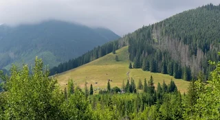 Polacy wybrali swój ulubiony kawałek przyrody. Oto zwycięzca