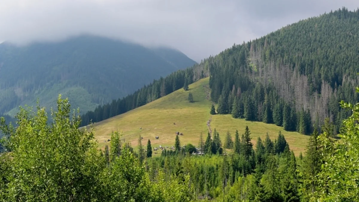 Polacy wybrali swój ulubiony kawałek przyrody. Oto zwycięzca