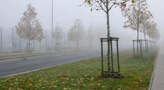 Nie pozwolili mu zrobić zjazdu na działkę. NSA: „nie” to za mało