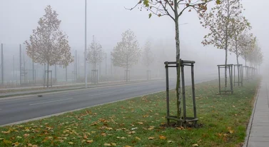 Nie pozwolili mu zrobić zjazdu na działkę. NSA: „nie” to za mało