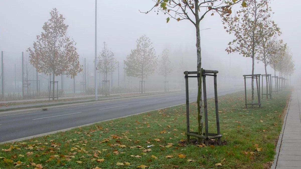 Nie pozwolili mu zrobić zjazdu na działkę. NSA: „nie” to za mało