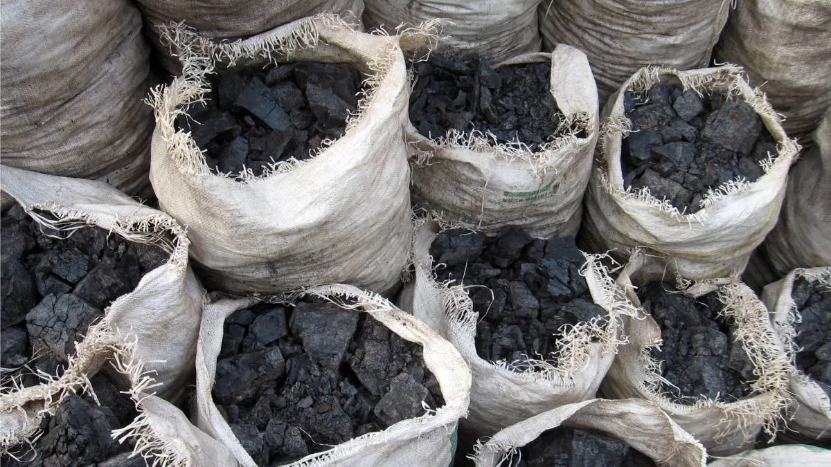 Węgiel wciąż rządzi. Ale powoli już nie daje rady